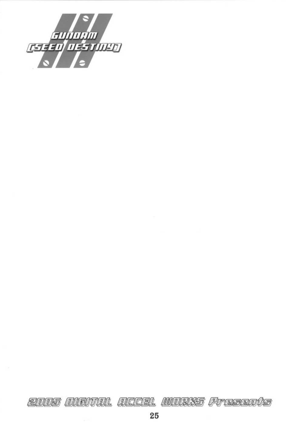 (C68) [DIGITAL ACCEL WORKS (INAZUMA.)] Super Freedom (Gundam SEED DESTINY) - Page 24