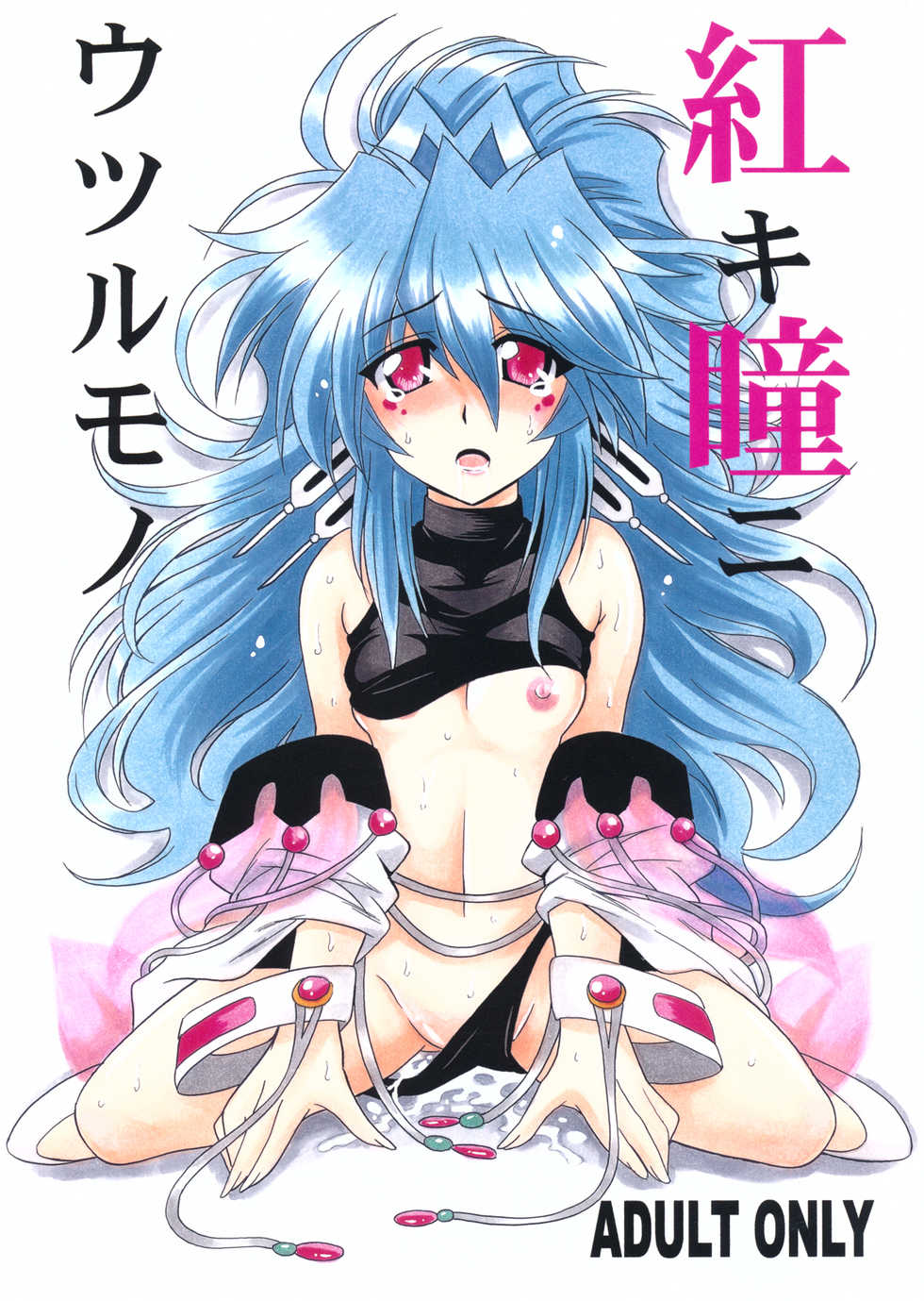 (COMIC1☆5) [Leaz Koubou (Oujano Kaze)] Akaki Hitomi ni Utsuru Mono (Super Robot Wars OG) - Page 1