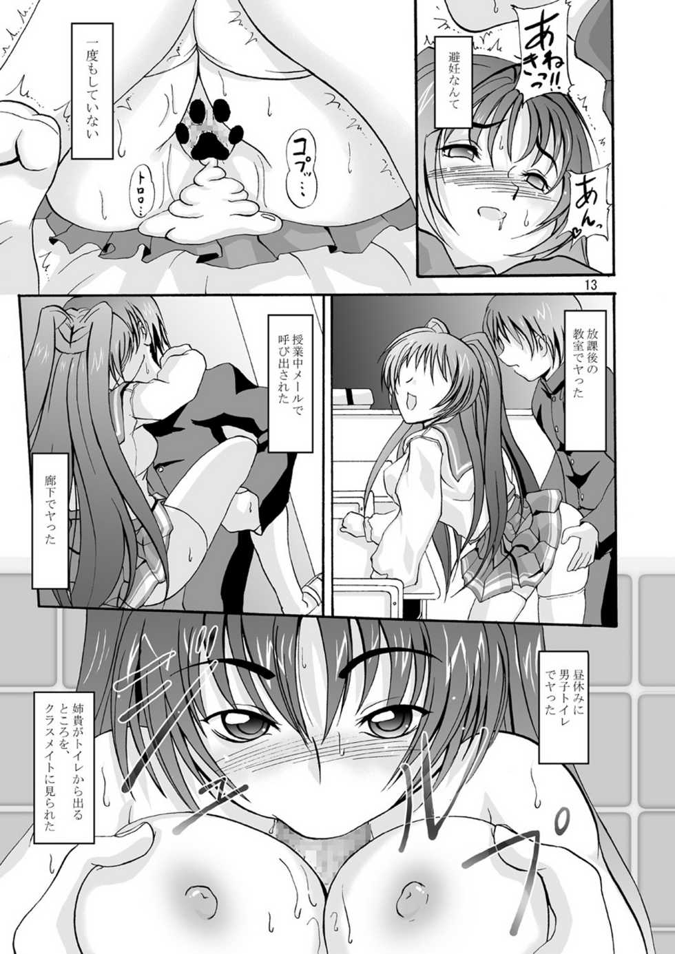 (C68) [D-heaven (Amanogami Dai)] DoHearts 3 Tama-chan of Joytoy (ToHeart 2) - Page 13