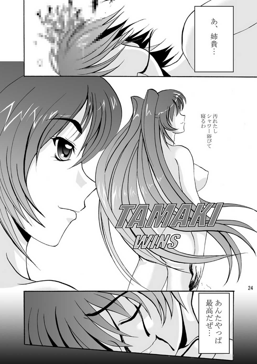 (C68) [D-heaven (Amanogami Dai)] DoHearts 3 Tama-chan of Joytoy (ToHeart 2) - Page 24