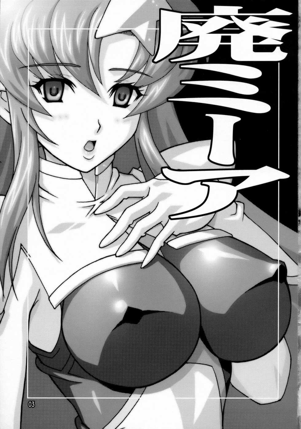 (C70) [Studio Mizuyokan (Higashitotsuka Rai Suta)] HIGH MEER (Gundam SEED Destiny) - Page 2