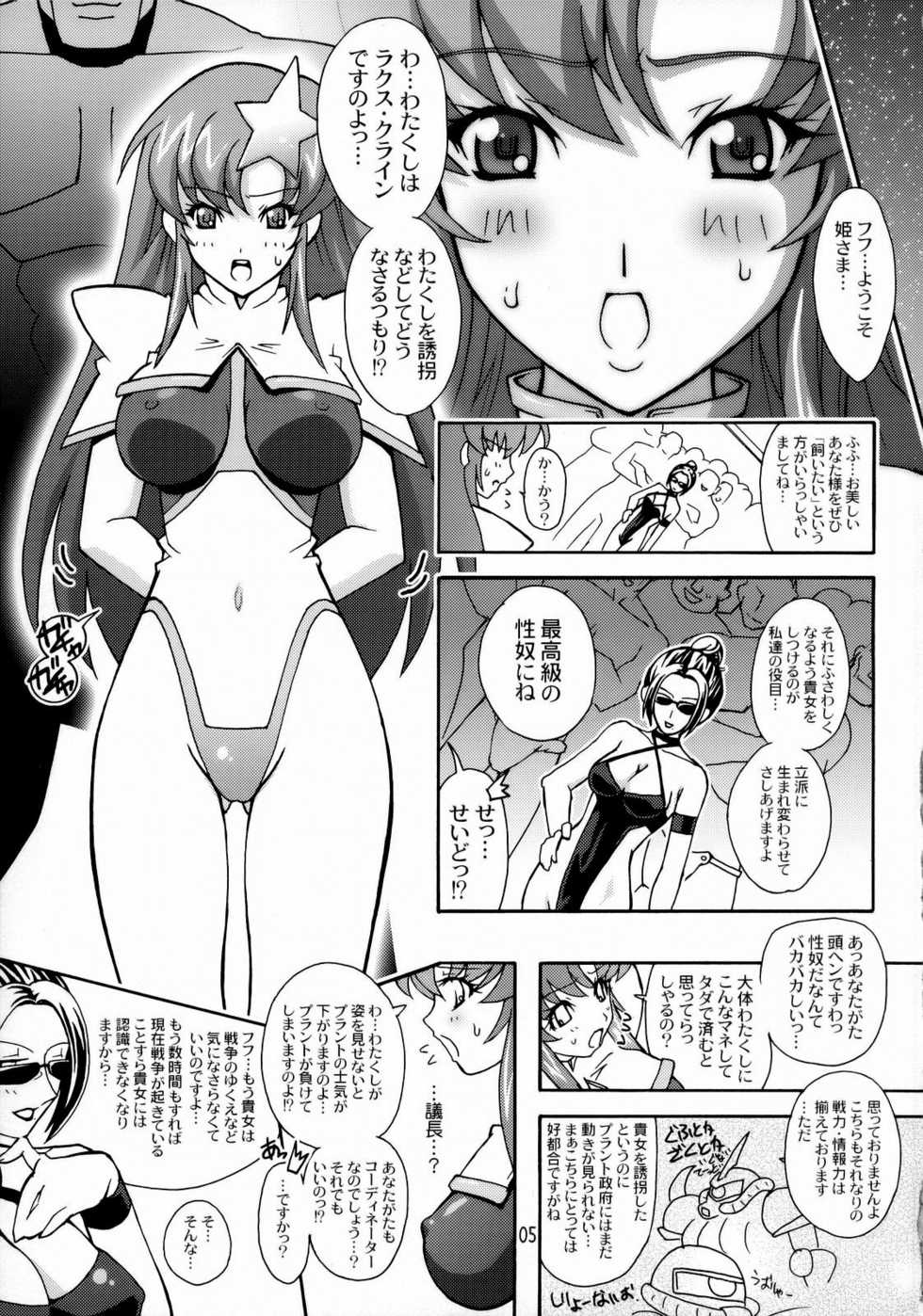 (C70) [Studio Mizuyokan (Higashitotsuka Rai Suta)] HIGH MEER (Gundam SEED Destiny) - Page 4