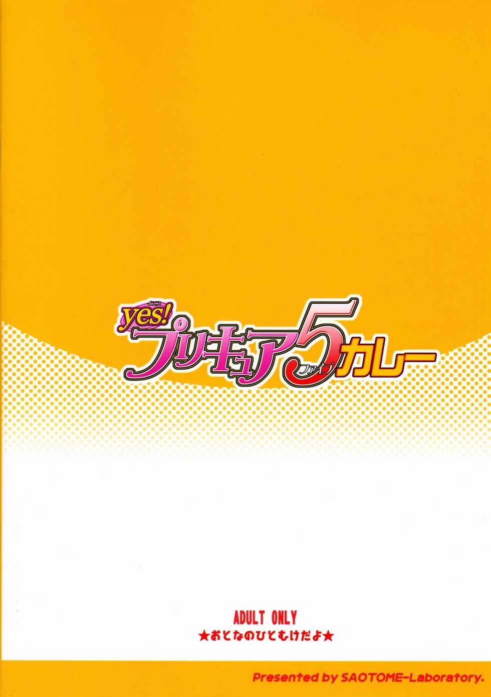 (C72) [SAOTOME-Laboratory (Saotome Mondonosuke)] Yes! PRECURE-5 Curry (Yes! Precure 5) - Page 14