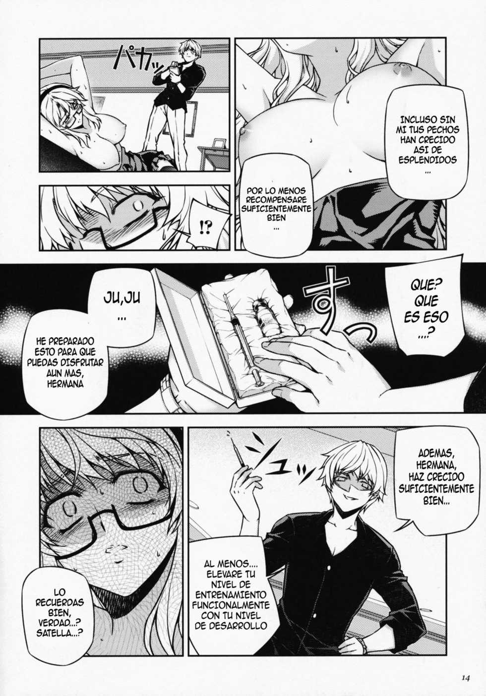 (C77) [CDPA (Various)] CROSS MAKE 2009 (Freezing, Onihime VS) [Spanish] {kallen-kozuki} - Page 12