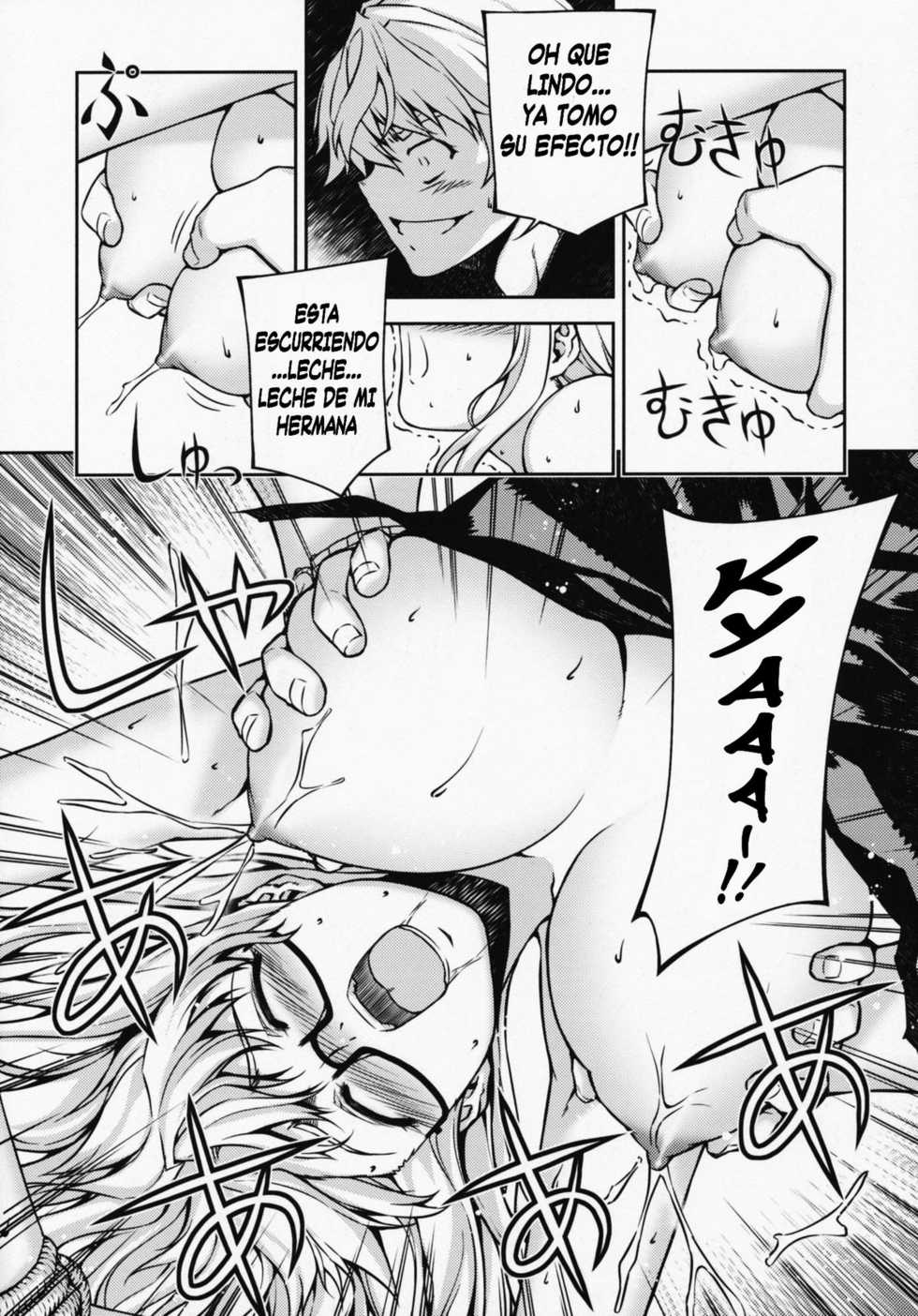 (C77) [CDPA (Various)] CROSS MAKE 2009 (Freezing, Onihime VS) [Spanish] {kallen-kozuki} - Page 16