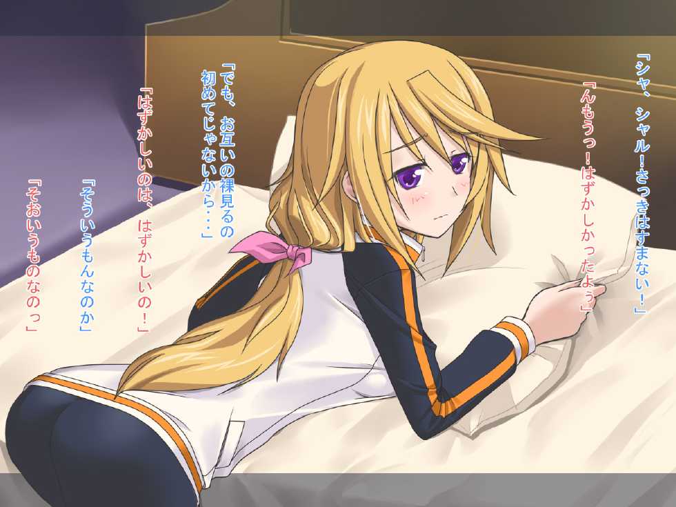 [Plastic Image] Char to Issho (IS <Infinite Stratos>) - Page 6