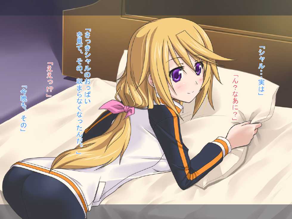 [Plastic Image] Char to Issho (IS <Infinite Stratos>) - Page 7