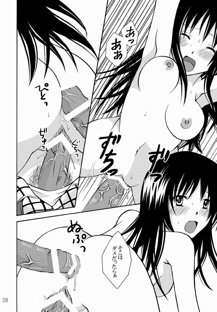 (C76) [Hyogetsu (Momonoki Fum)] Watashi to Kare to Onii-chan (To LOVE-Ru) - Page 28