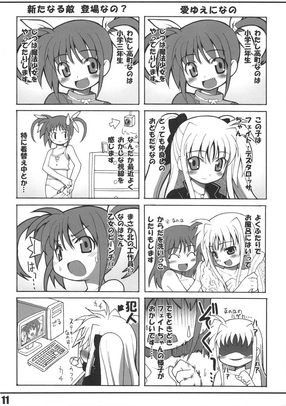 (SC31) [PHYSALIS (Seresu)] Lyrical Fate (Mahou Shoujo Lyrical Nanoha) - Page 10
