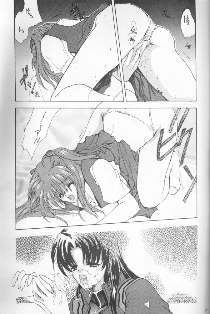 (CR20) [Hanzai Tengoku (Hasei Agana)] Kikei no Sakana (Neon Genesis Evangelion) - Page 27