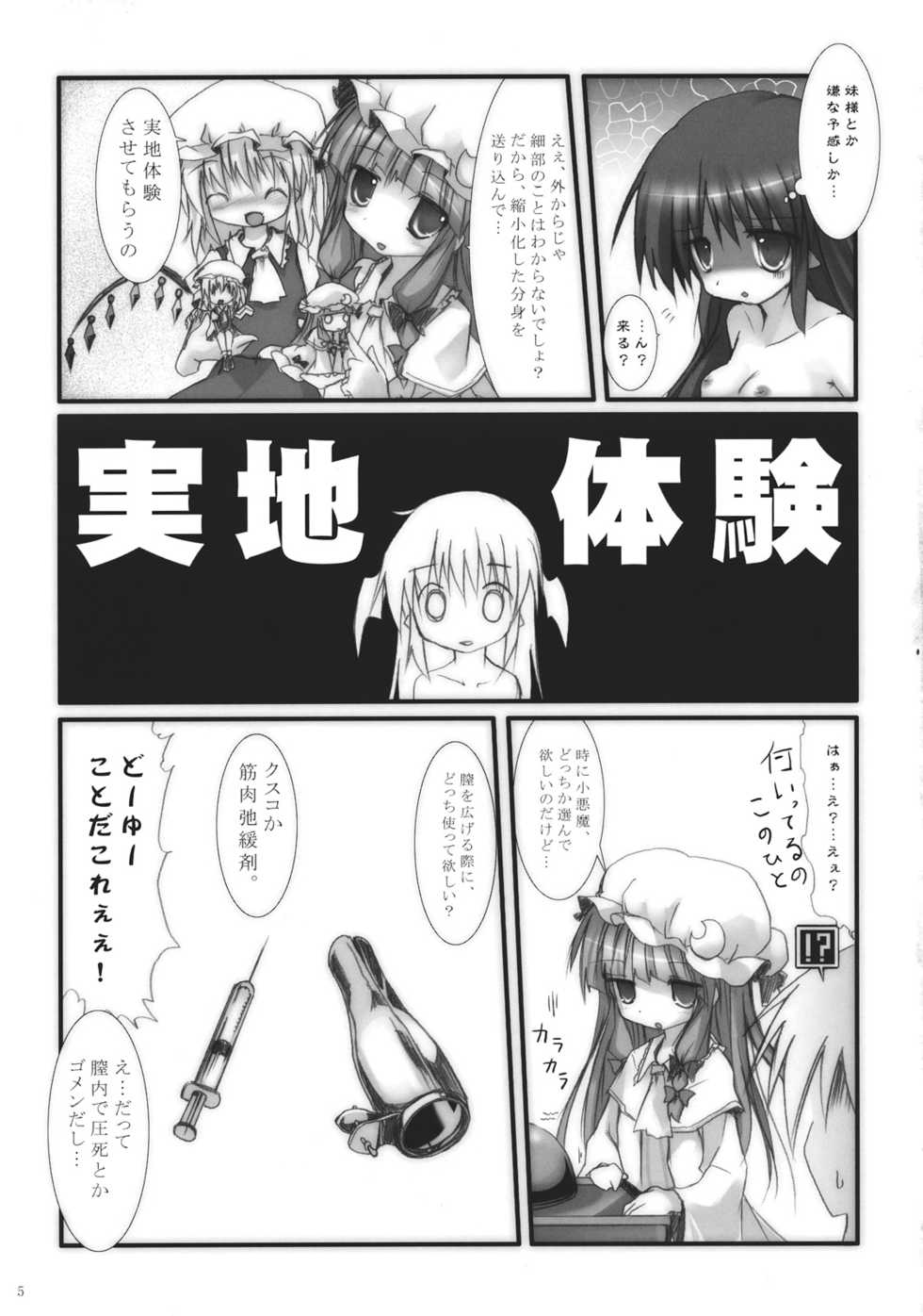 (Aka no Hiroba 5) [Suzunaridou (Izumi Yukiru)] Koakuma de Hokentaiiku (Touhou Project) - Page 5