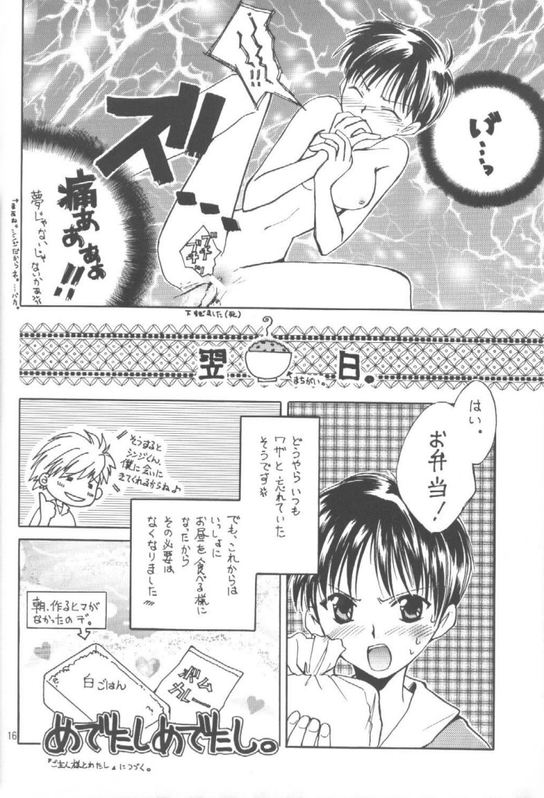 (C55) [Fairy Tale House (Phoenicia Masako)] Hasu Kriya (Neon Genesis Evangelion) - Page 15