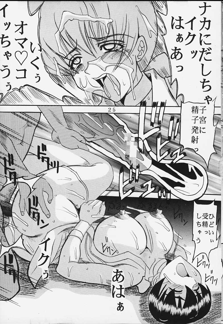 (C58) [St. Rio (Kitty)] DANDIZM 2000 Nakadashi Millennium (Dead or Alive) - Page 24