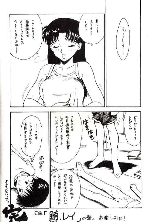 (CR18) [Karmaya (Karma Tatsurou)] Karma II (Neon Genesis Evangelion) - Page 21
