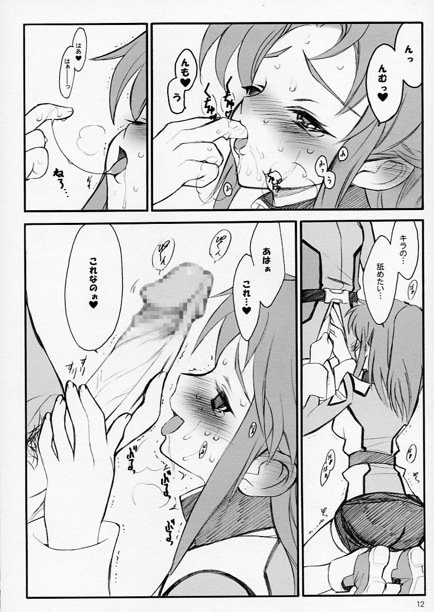 (C64) [Keumaya (Keuma)] Tane Bon (Gundam Seed) - Page 12