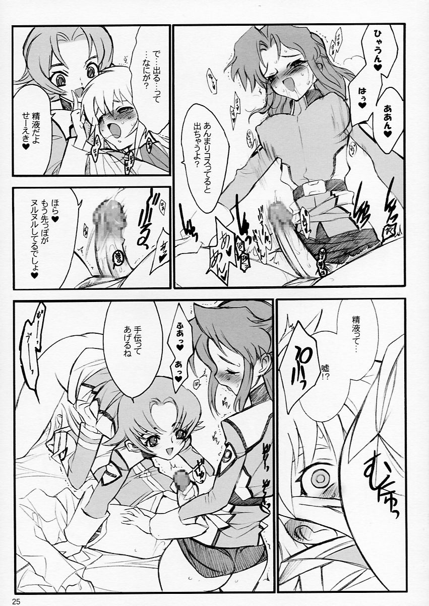 (C64) [Keumaya (Keuma)] Tane Bon (Gundam Seed) - Page 25
