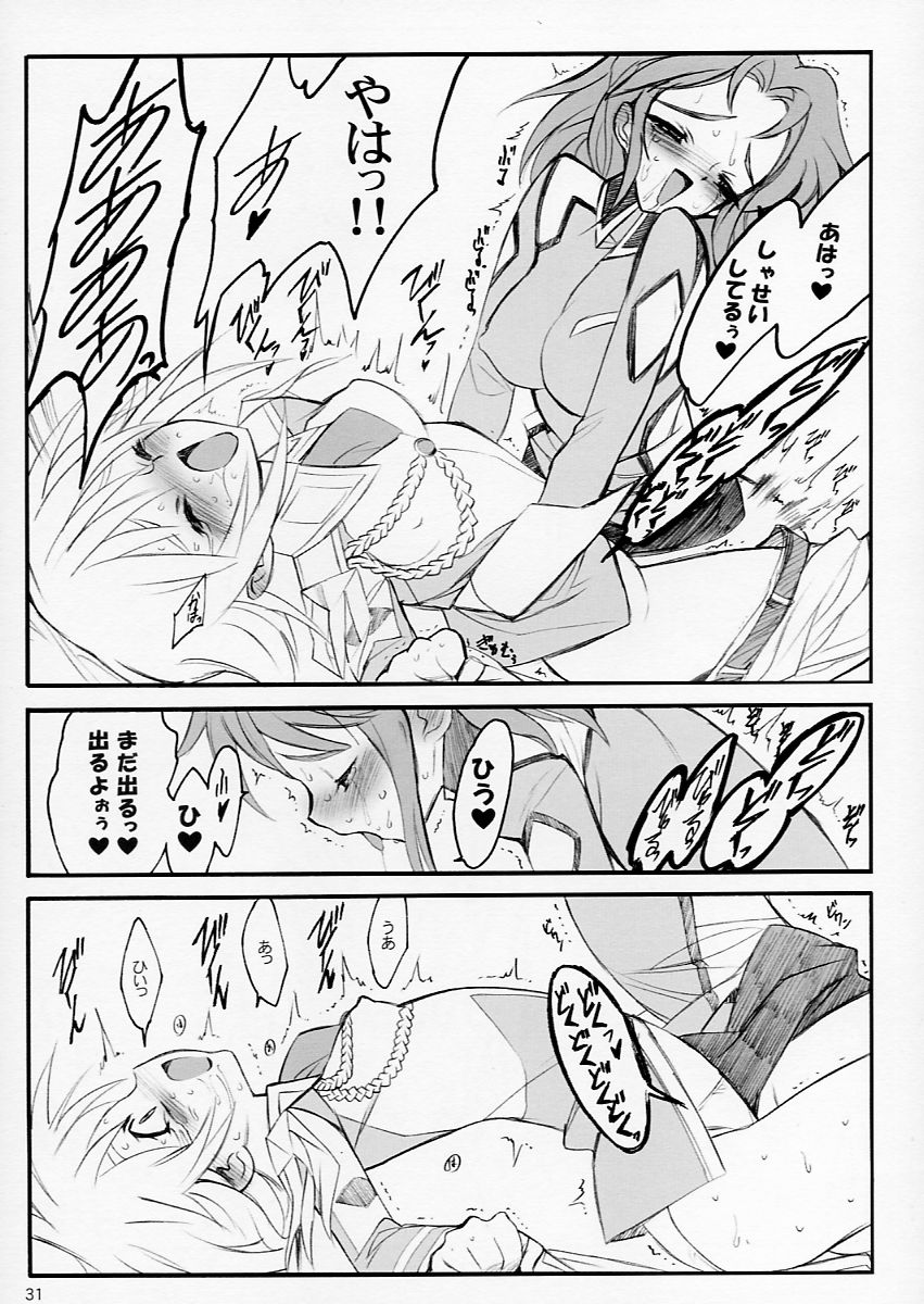 (C64) [Keumaya (Keuma)] Tane Bon (Gundam Seed) - Page 31