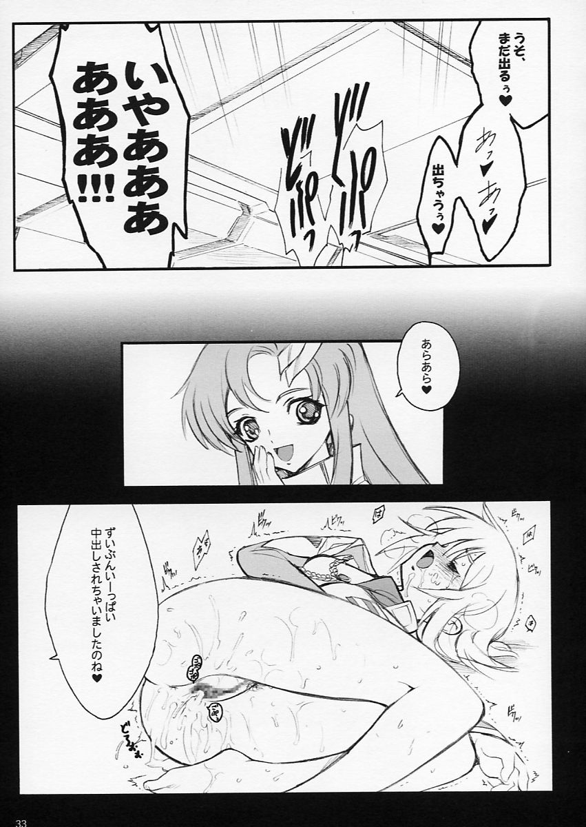 (C64) [Keumaya (Keuma)] Tane Bon (Gundam Seed) - Page 33