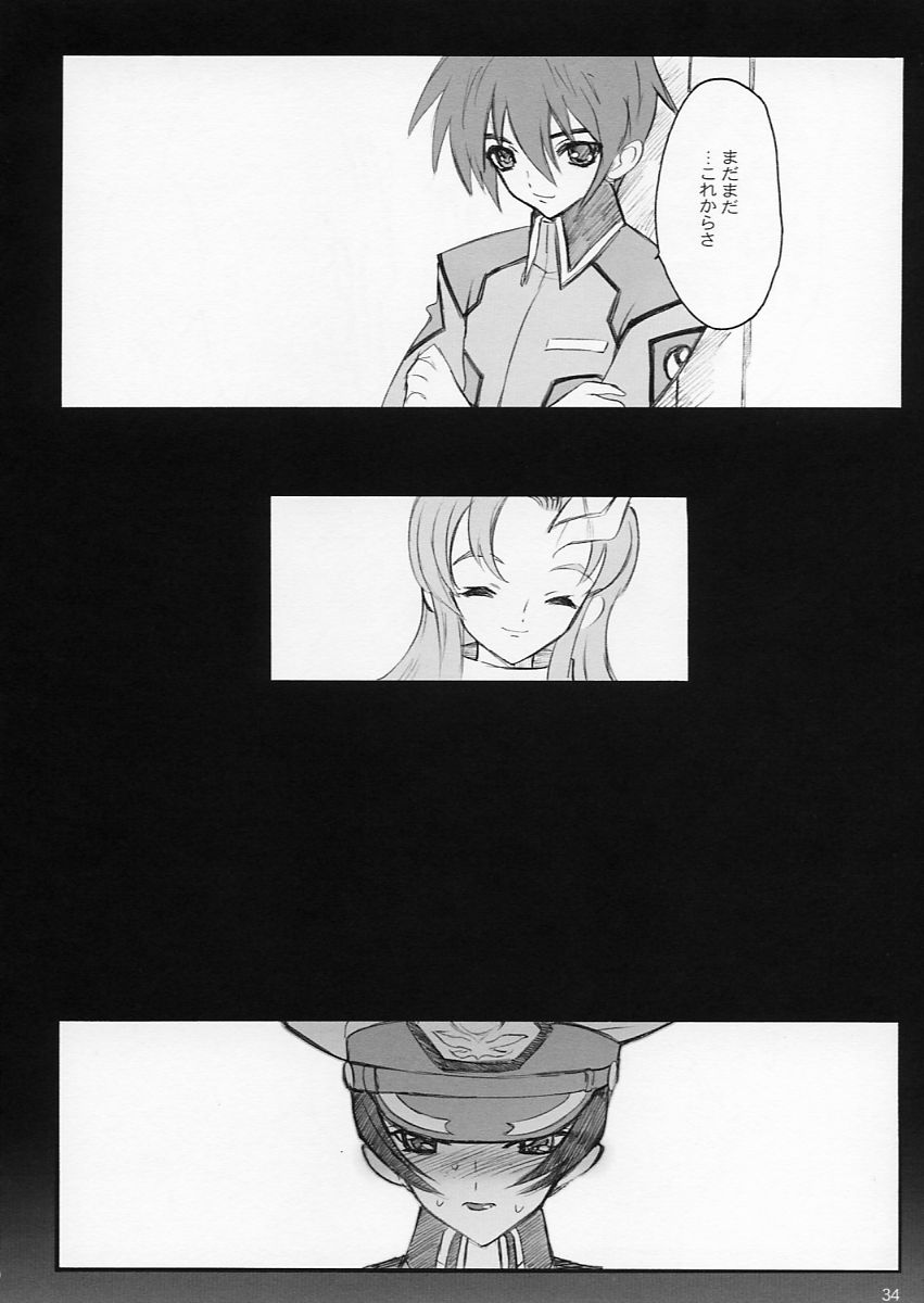 (C64) [Keumaya (Keuma)] Tane Bon (Gundam Seed) - Page 34