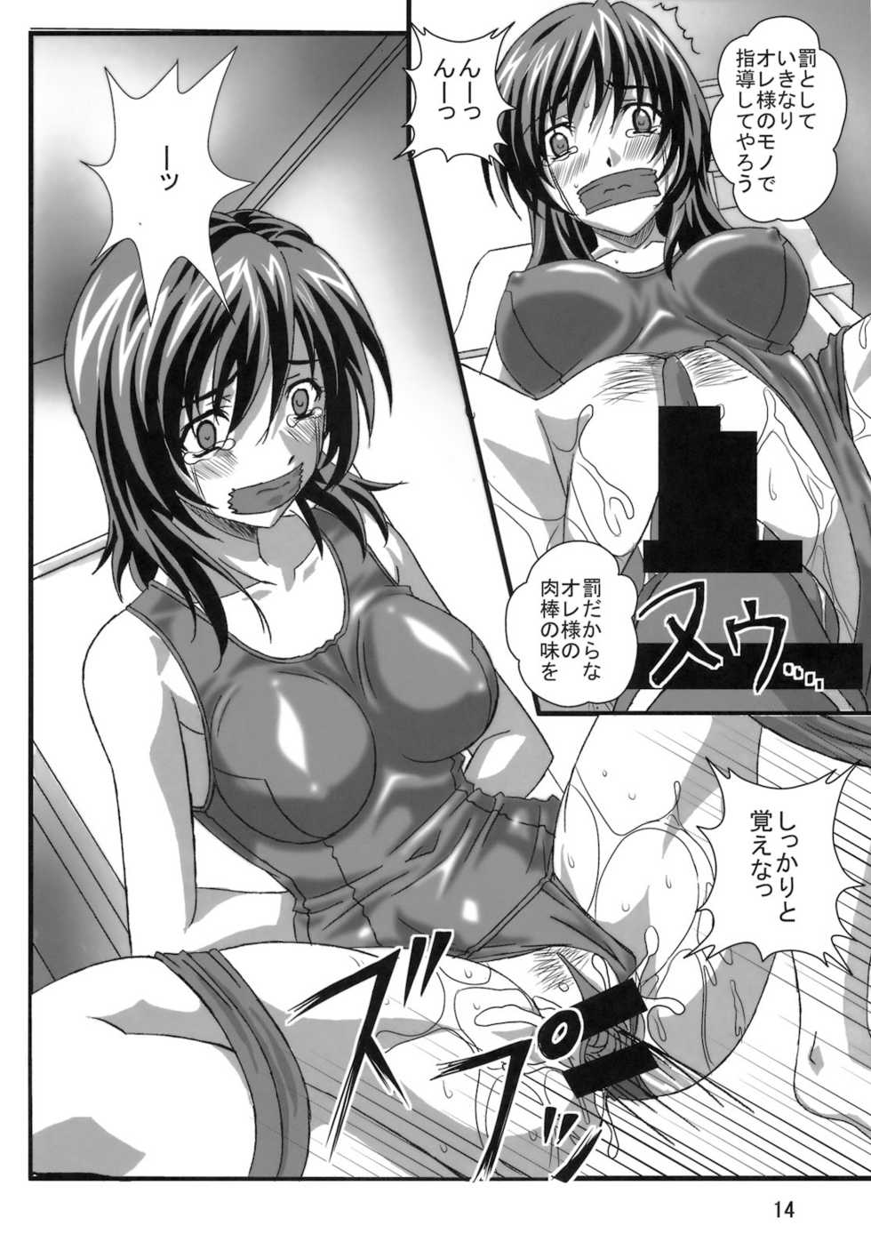 (C78) [Sekidou Nakama (Kimrin)] OTOHIME TRAP-01 - Page 13