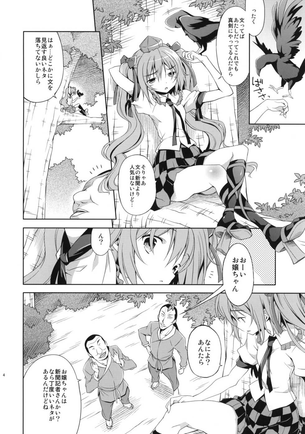 (C80) [Houenken (Inase Shinya)] Hatate no Binwan Shuzairoku (Touhou Project) - Page 3