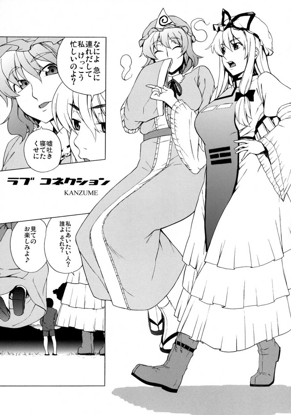 (C80) [Yuki Kagerou (KANZUME)] Love Connection (Touhou Project) - Page 4