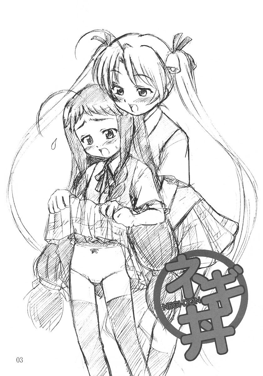 (C66) [G-R (Akiyama Kenta)] NEGI-DON (Mahou Sensei Negima!) - Page 2