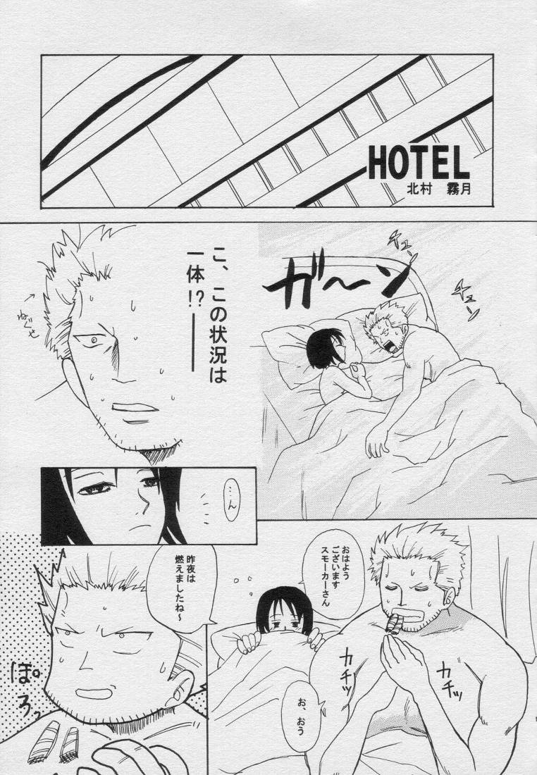 (C58) [Osakana Center (Various)] H.M.L (One Piece) - Page 10