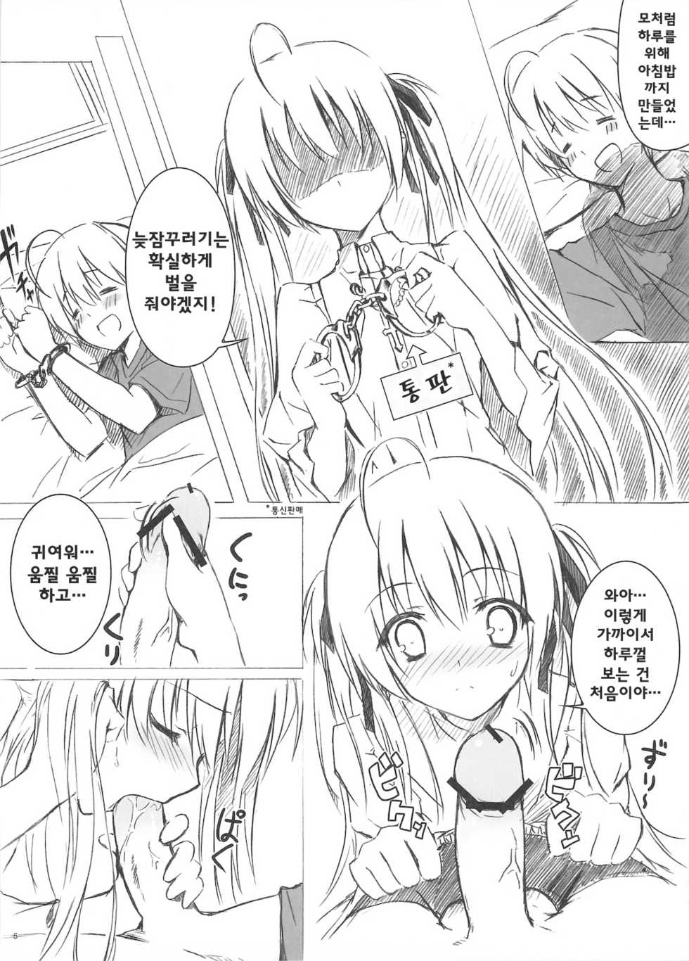 (C78) [Shadow Sorceress Communication Protocol (Hiten Onee-ryuu)] Sora no Omocha (Yosuga no Sora) [Korean] - Page 5