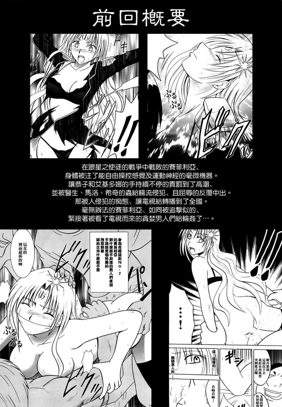 [Crimson (Carmine)] Sephiria Hard 2 (Black Cat) [Chinese] [冬瓜漢化] - Page 2
