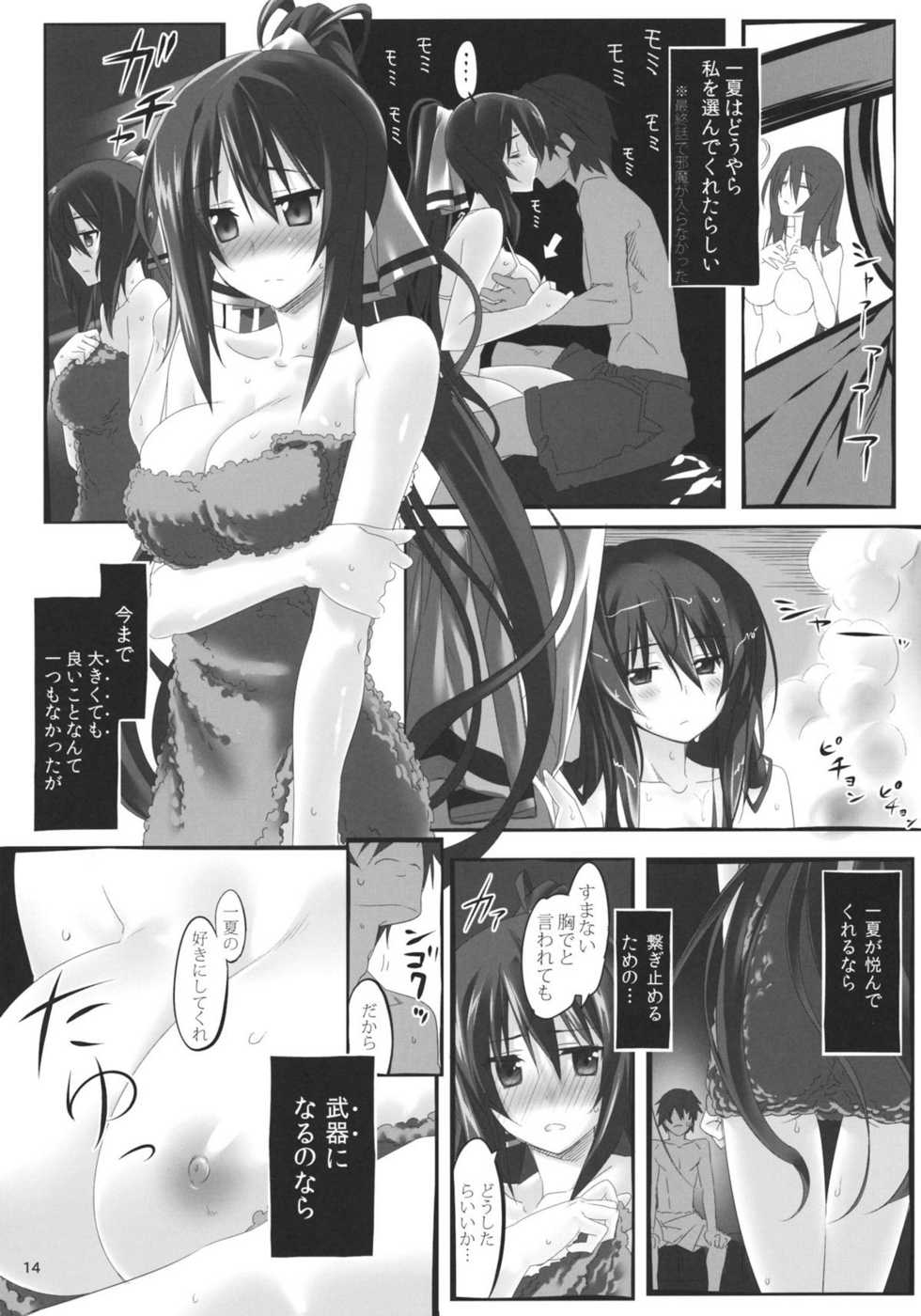 (C80) [Himura Nyuugyou (Himura Kiseki)] Yuuzai Shouko Bukken Sangou (IS <Infinite Stratos>) - Page 13