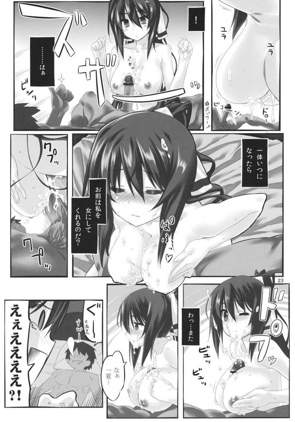 (C80) [Himura Nyuugyou (Himura Kiseki)] Yuuzai Shouko Bukken Sangou (IS <Infinite Stratos>) - Page 22