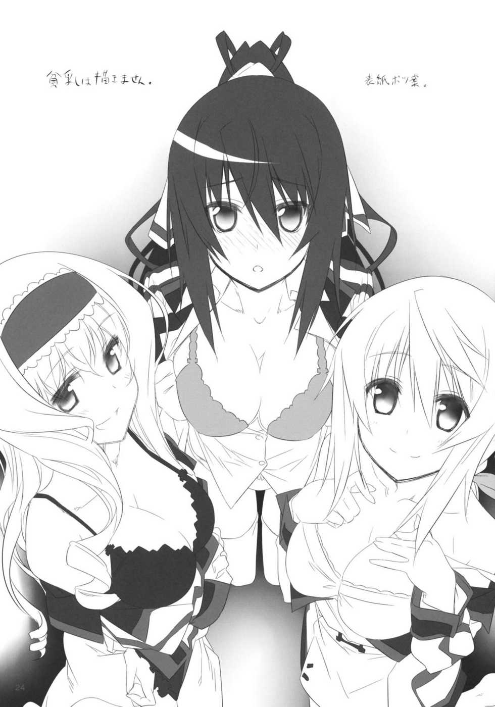 (C80) [Himura Nyuugyou (Himura Kiseki)] Yuuzai Shouko Bukken Sangou (IS <Infinite Stratos>) - Page 23