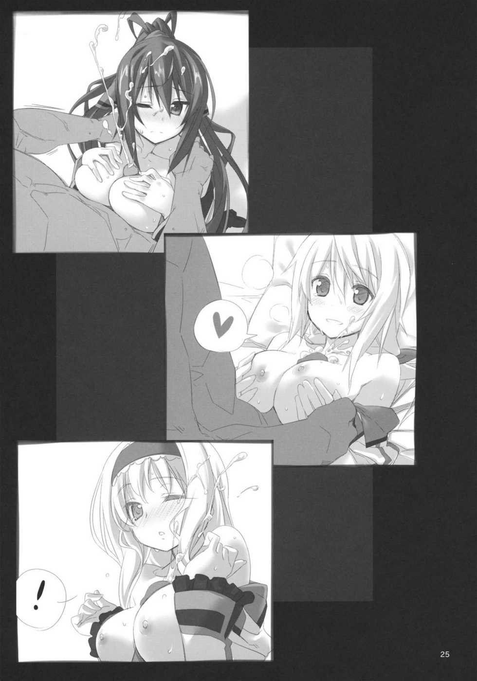 (C80) [Himura Nyuugyou (Himura Kiseki)] Yuuzai Shouko Bukken Sangou (IS <Infinite Stratos>) - Page 24