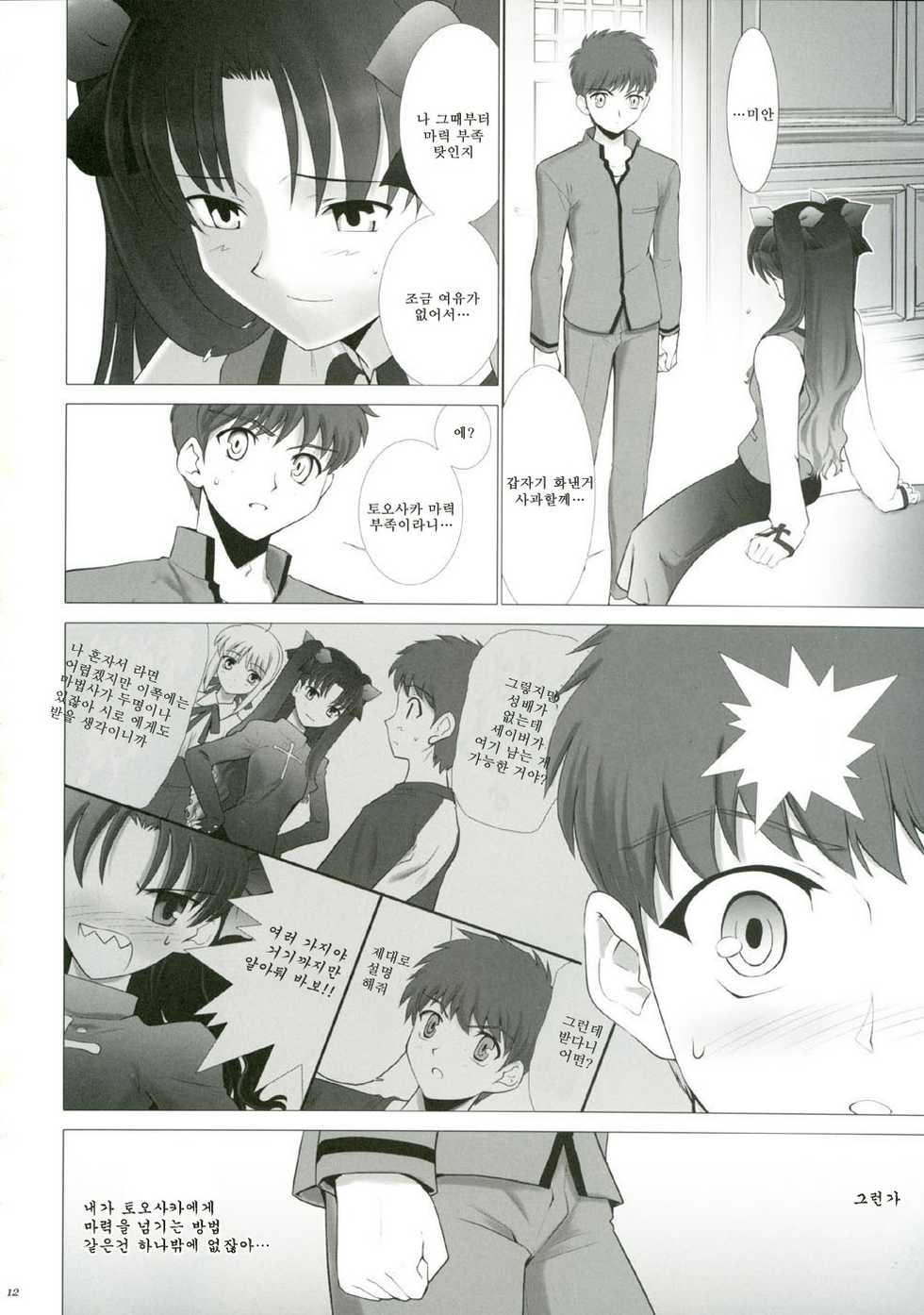 (CR35) [Crazy Clover Club (Shirotsumekusa)] T-MOON COMPLEX 3 (Fate/stay night) [Korean] - Page 11