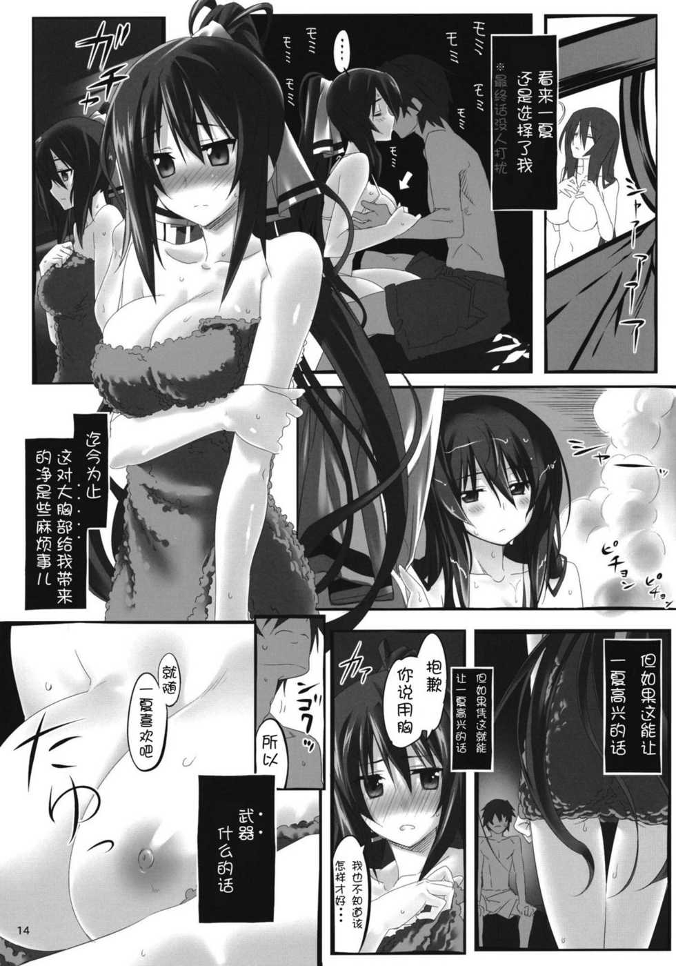 (C80) [Himura Nyuugyou (Himura Kiseki)] Yuuzai Shouko Bukken Sangou (IS <Infinite Stratos>) [Chinese] [修正液汉化组] - Page 13