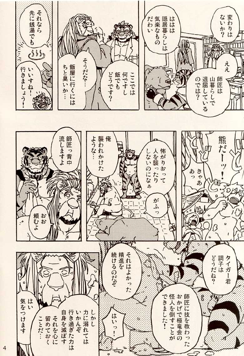 (Yarou Fes 2011) 	[Dragon Heart (gamma)] Choujuu Gasshin Build Tiger 8 - Page 6