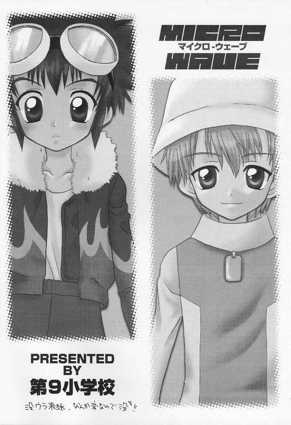 (CR28) [Daikyuu Shougakkou (Ruka Kaname)] MICRO-WAVE (Digimon Adventure 02) - Page 3