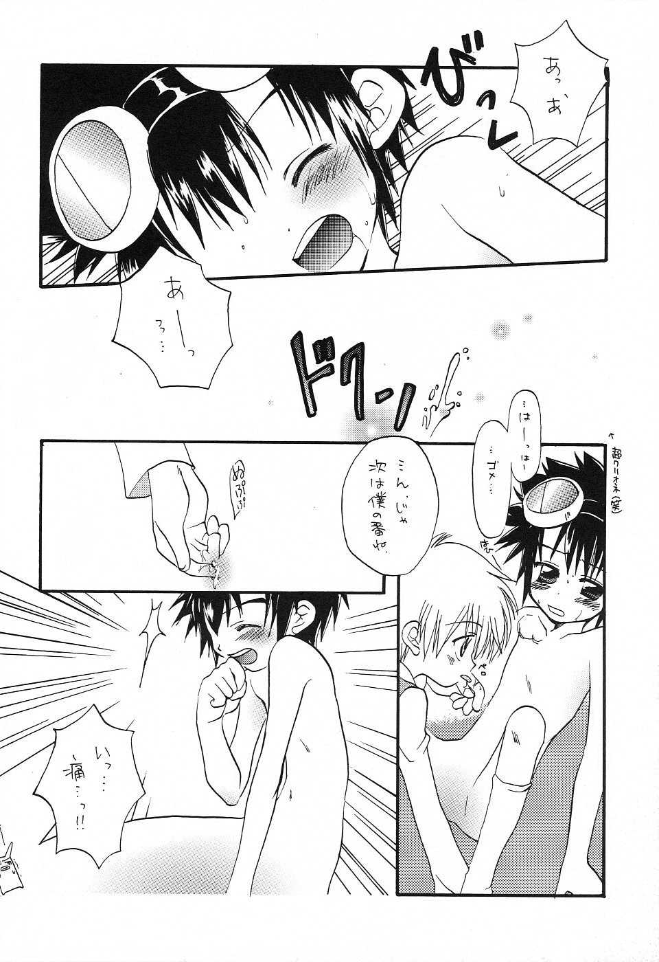 (CR28) [Daikyuu Shougakkou (Ruka Kaname)] MICRO-WAVE (Digimon Adventure 02) - Page 22