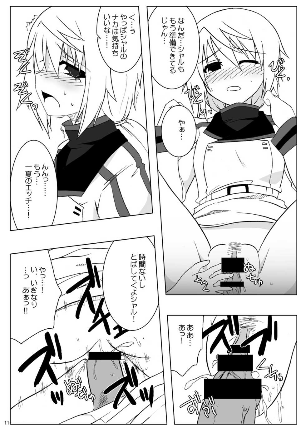 (SC51) [Raiden Yashiki (Yamaura Tamaki)] √ Char (Infinite Stratos) - Page 10