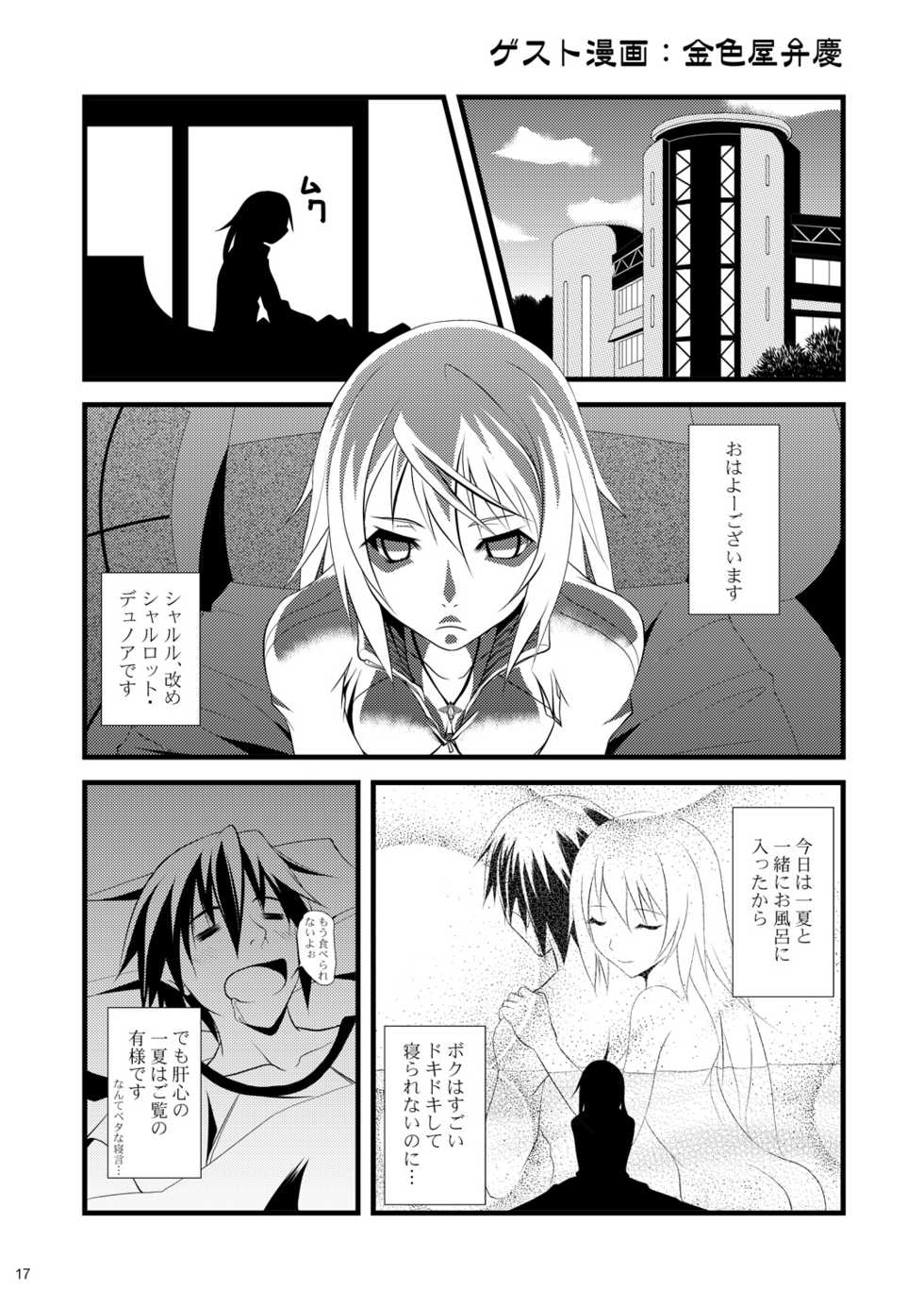 (SC51) [Raiden Yashiki (Yamaura Tamaki)] √ Char (Infinite Stratos) - Page 16