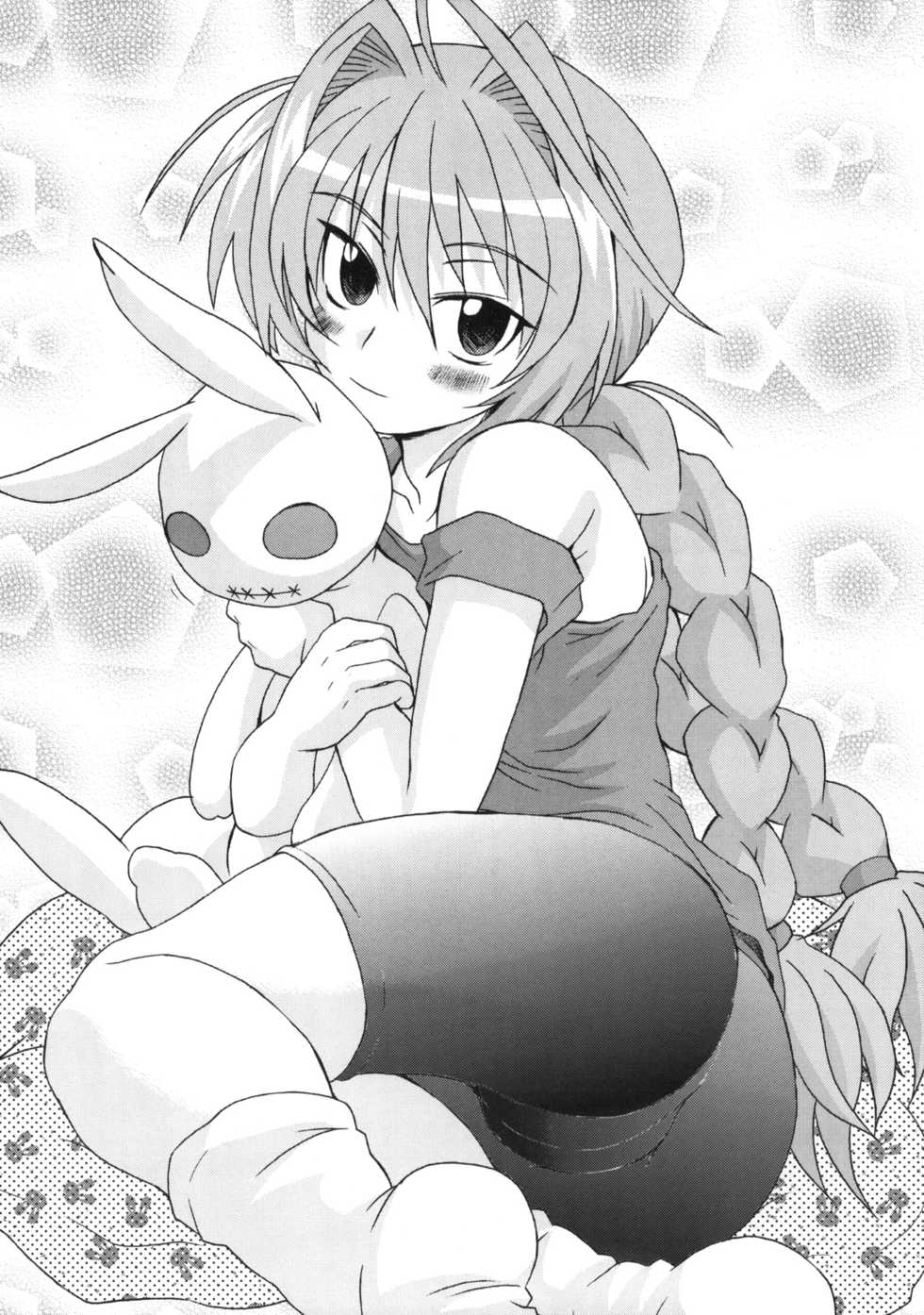 (C80) [Shirando (Shiran Takashi)] Vita Mousou Nikki (Mahou Shoujo Lyrical Nanoha) - Page 3