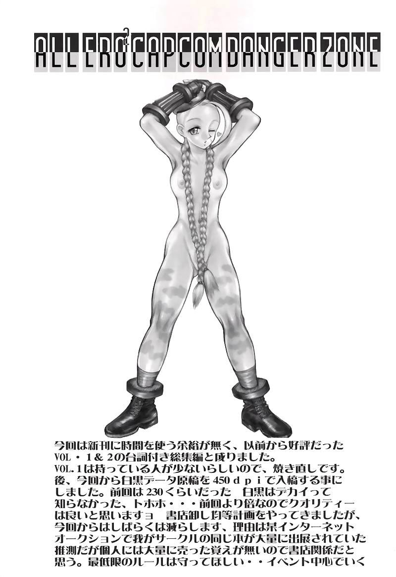 (C59) [TAKOTSUBO CLUB (Gojou Shino)] DANGER ZONE-FILES ALL ERO2 CAPCOM COMPLETE-SP (Various) - Page 2
