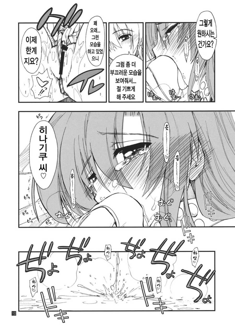 (C80) [Girigiri Nijiiro (Kamino Ryu-ya)] Hina to Hayate (Hayate no Gotoku!) [Korean] [Team HA-NU] - Page 10