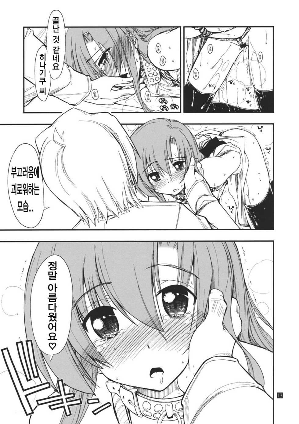 (C80) [Girigiri Nijiiro (Kamino Ryu-ya)] Hina to Hayate (Hayate no Gotoku!) [Korean] [Team HA-NU] - Page 13