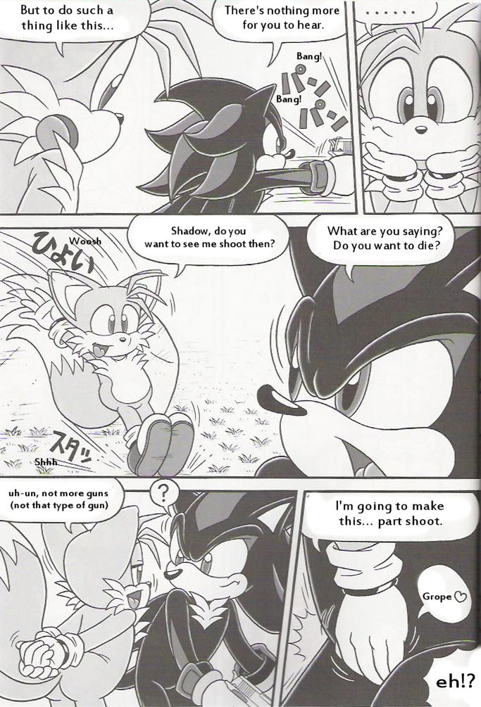(C70) [Furry Bomb Factory (Karate Akabon)] Furry BOMB #4 (Sonic the Hedgehog) [English] [YaoiHaven] - Page 4