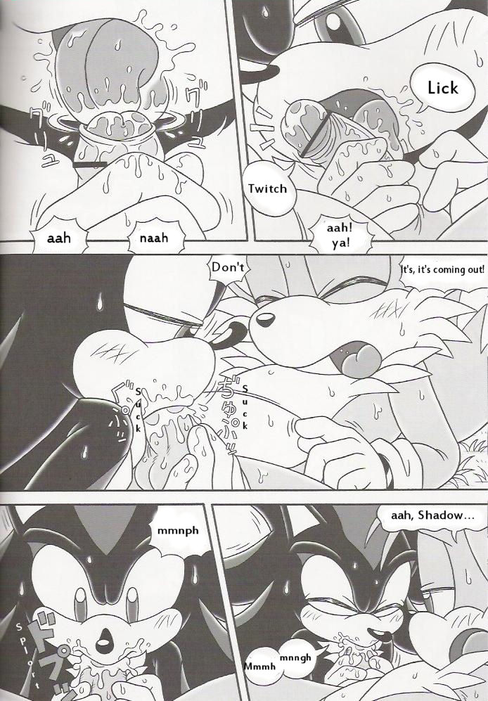 (C70) [Furry Bomb Factory (Karate Akabon)] Furry BOMB #4 (Sonic the Hedgehog) [English] [YaoiHaven] - Page 11