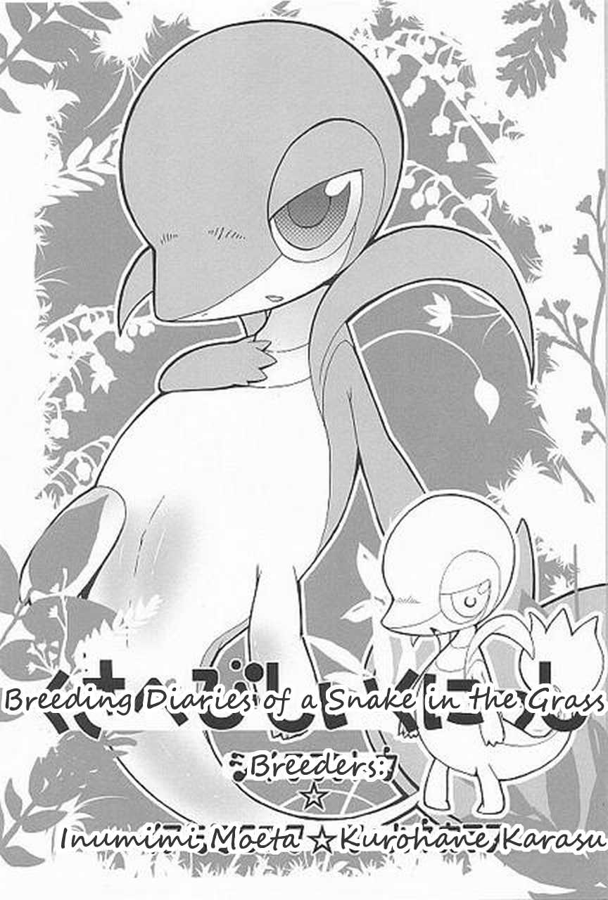 (Fur-st) [Dogear (Inumimi Moeta, Kurou Karasu)] Tsutahebishiiku Nisshi | Breeding Diaries of a Snake in the Grass (Pokémon) [English] [Twilight Stormshi] - Page 3