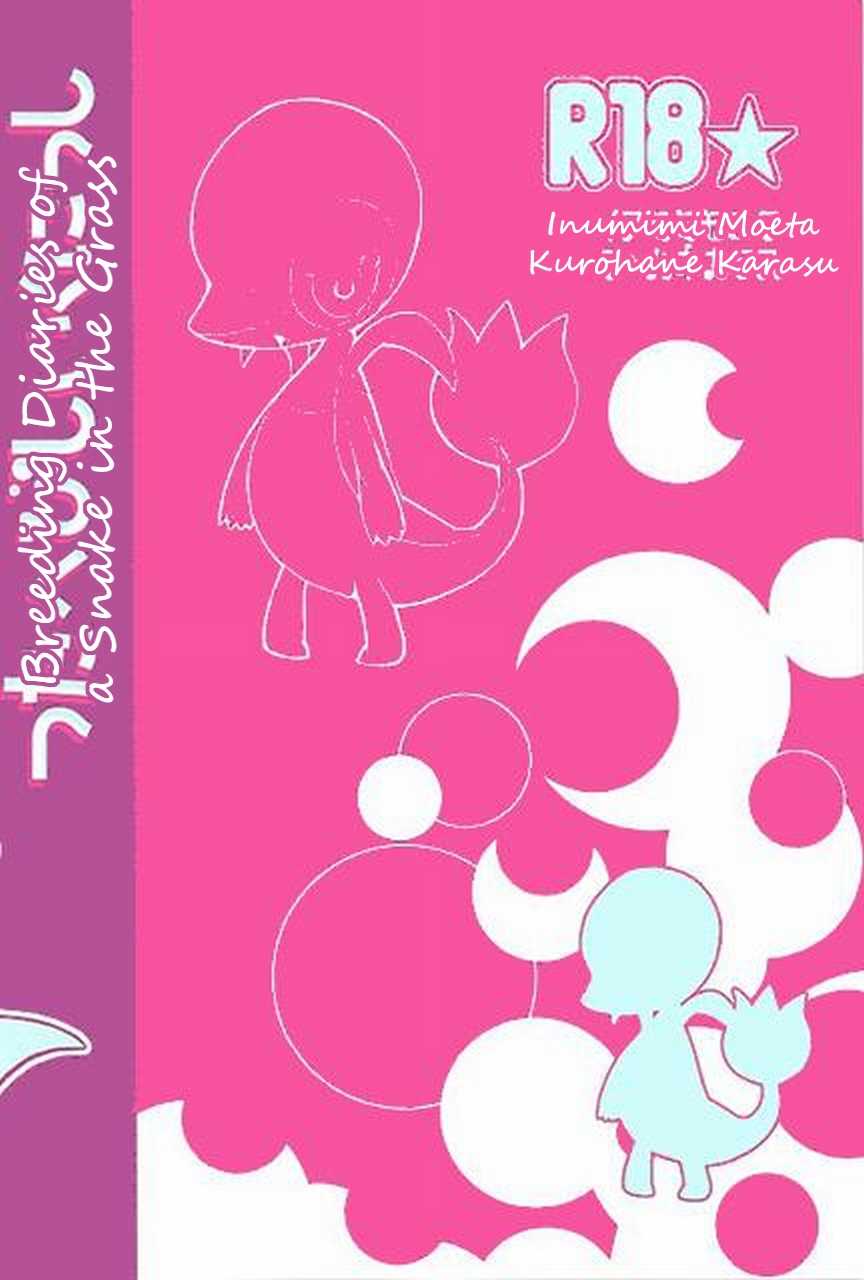 (Fur-st) [Dogear (Inumimi Moeta, Kurou Karasu)] Tsutahebishiiku Nisshi | Breeding Diaries of a Snake in the Grass (Pokémon) [English] [Twilight Stormshi] - Page 28