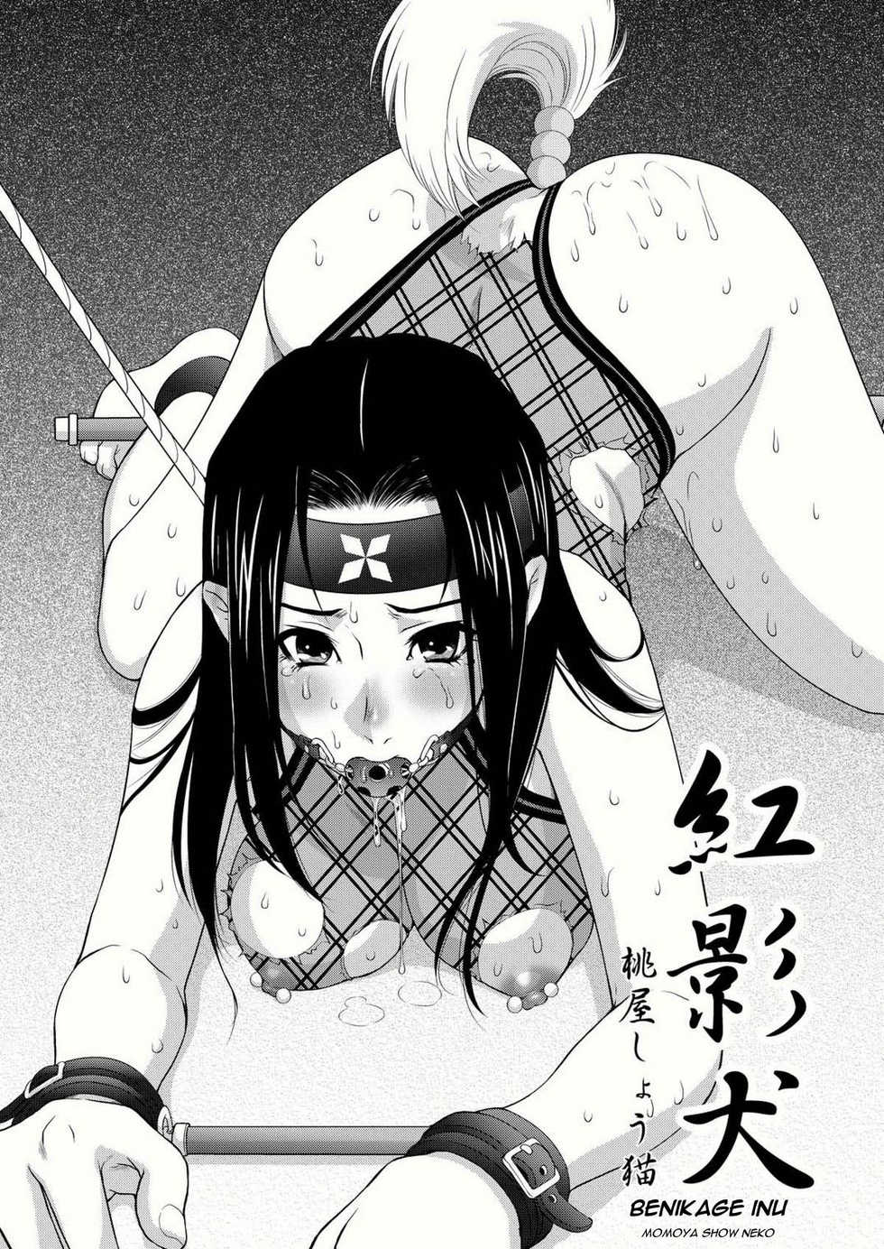 [U.R.C (Momoya Show-Neko)] Benikage Inu (Rumble Roses) [English] [ramza022] [Digital] - Page 4